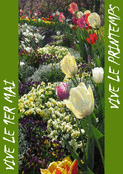 Fleurs &eacute;clatantes pour c&eacute;l&eacute;brer le printemps